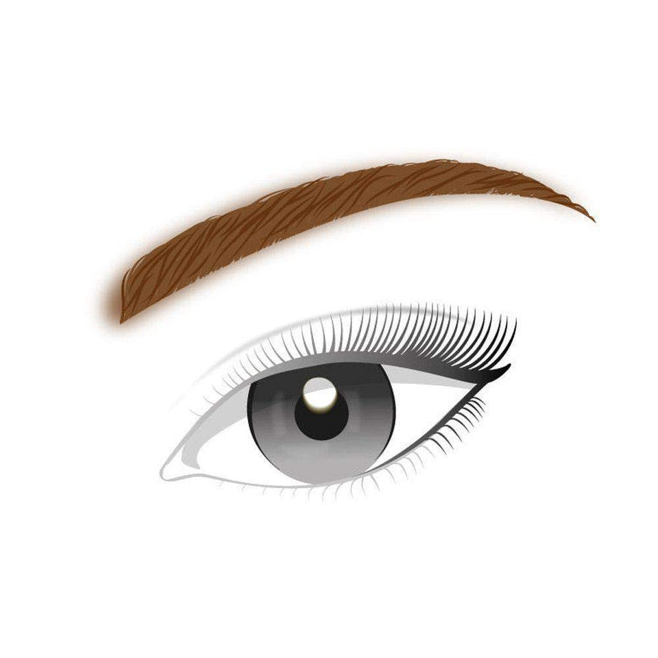 L'Oreal Paris Brow Artist Genius Kit